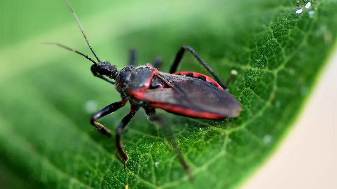 featured image - Microsoft Just Confirmed a SharePoint Bug Under Attack—And It’s Worse Than You Think