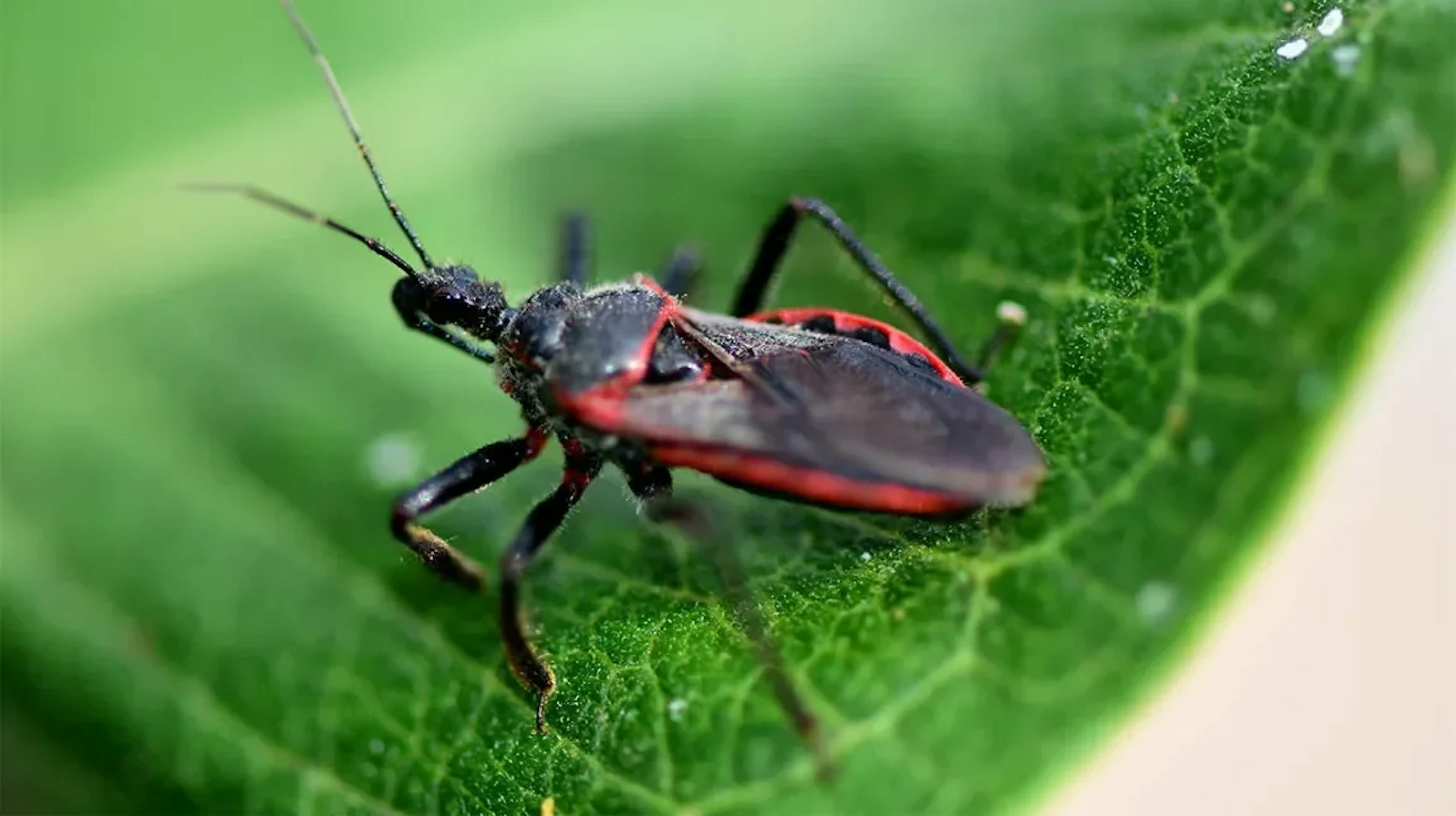 featured image - Microsoft Just Confirmed a SharePoint Bug Under Attack—And It’s Worse Than You Think