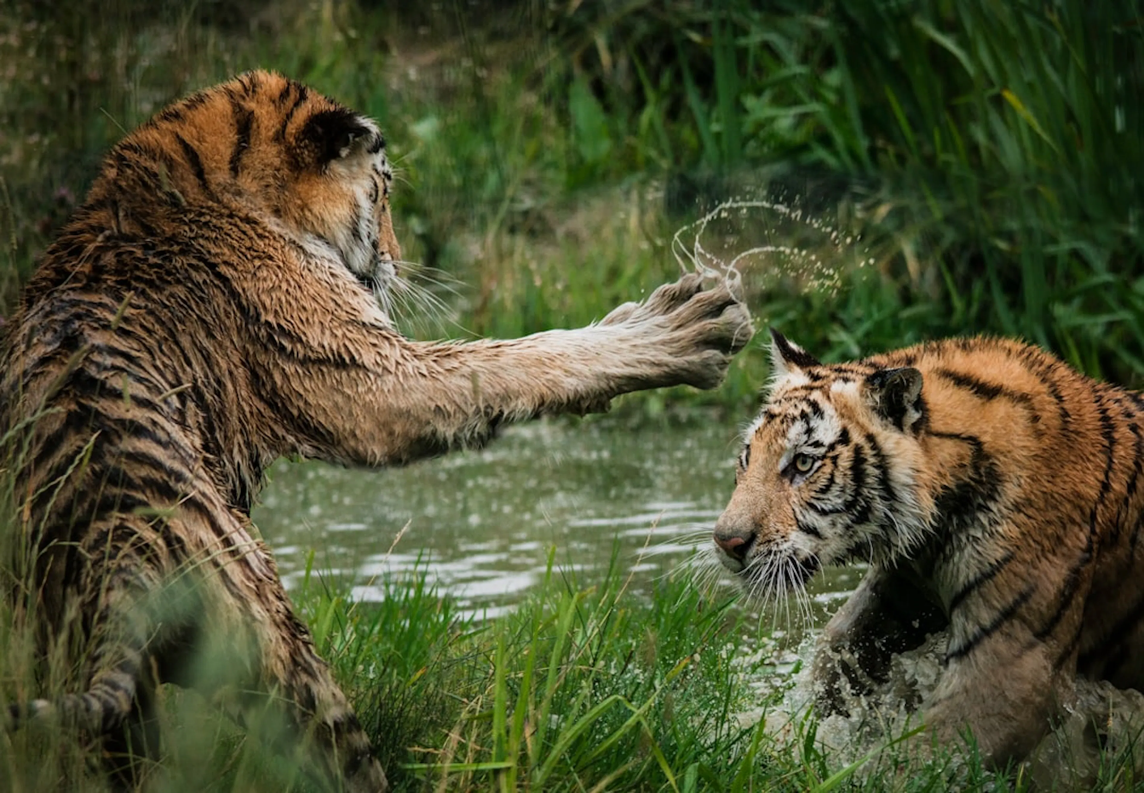 Learn Repo's image-4284f