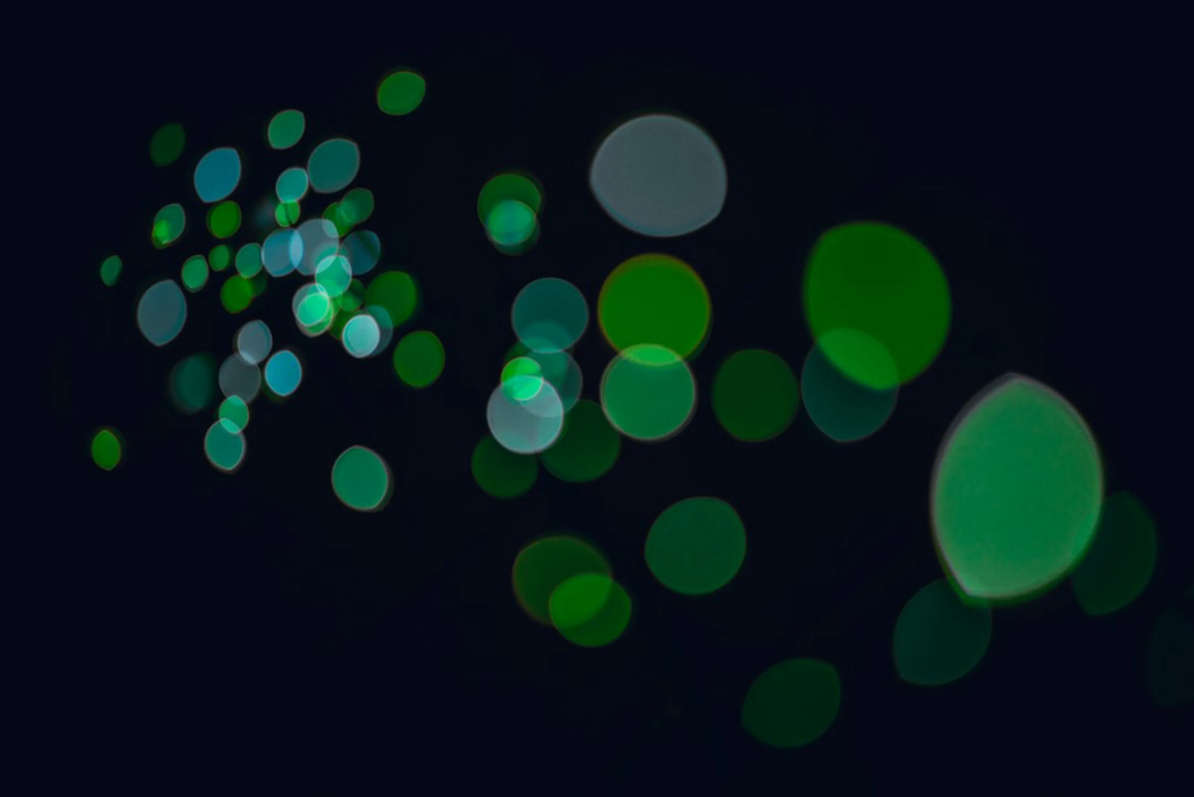 Learn Repo's image-0216d