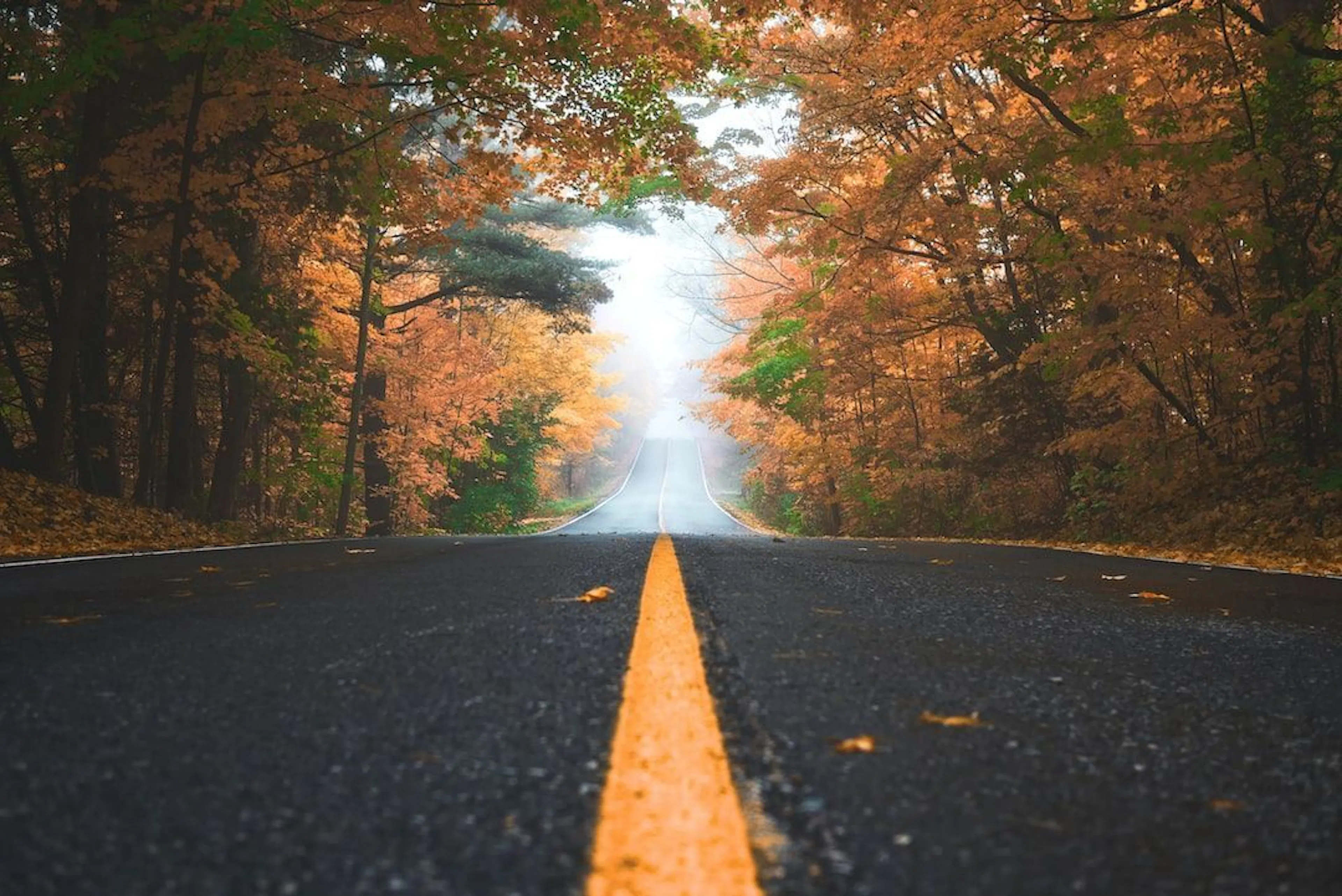 Learn Repo's image-52c1e8