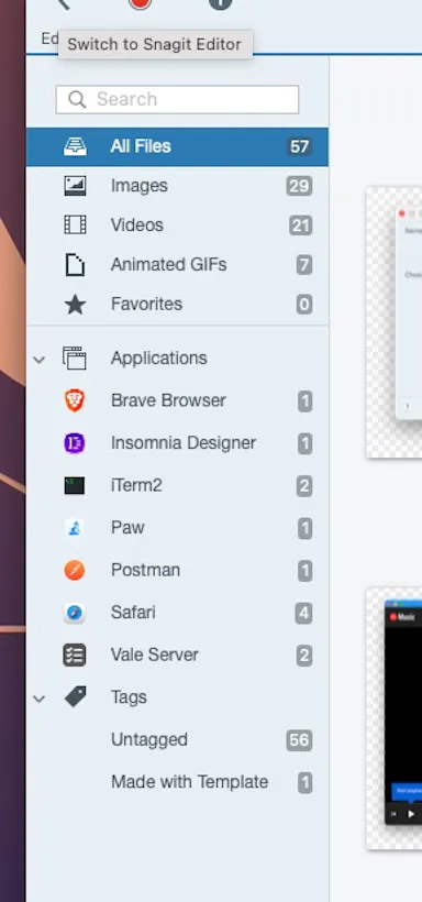 Create, Edit and Manage Screenshots with Snagit 2021