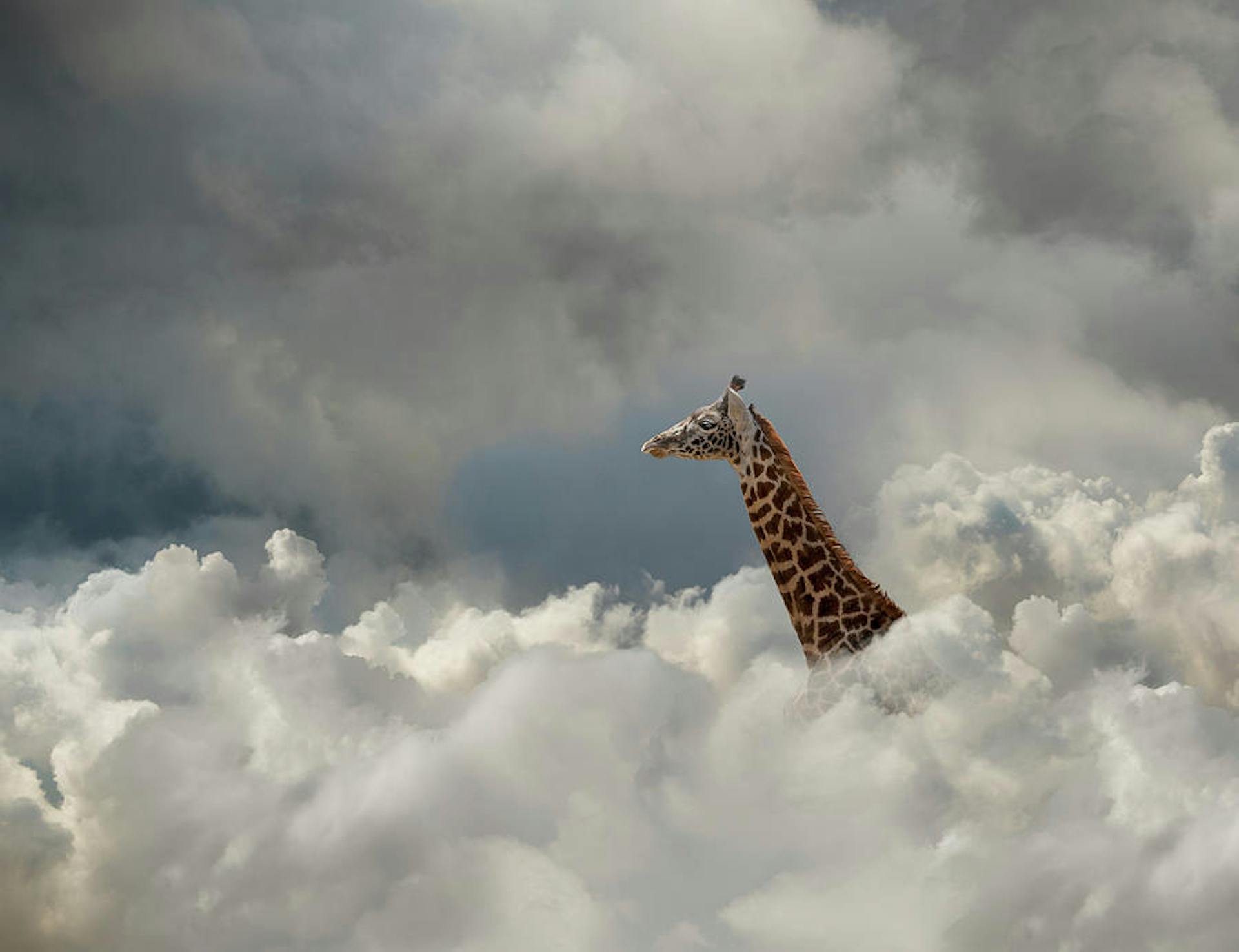 featured image - Media Coverage Options for a Startup With No News Pegs and Zero Budget