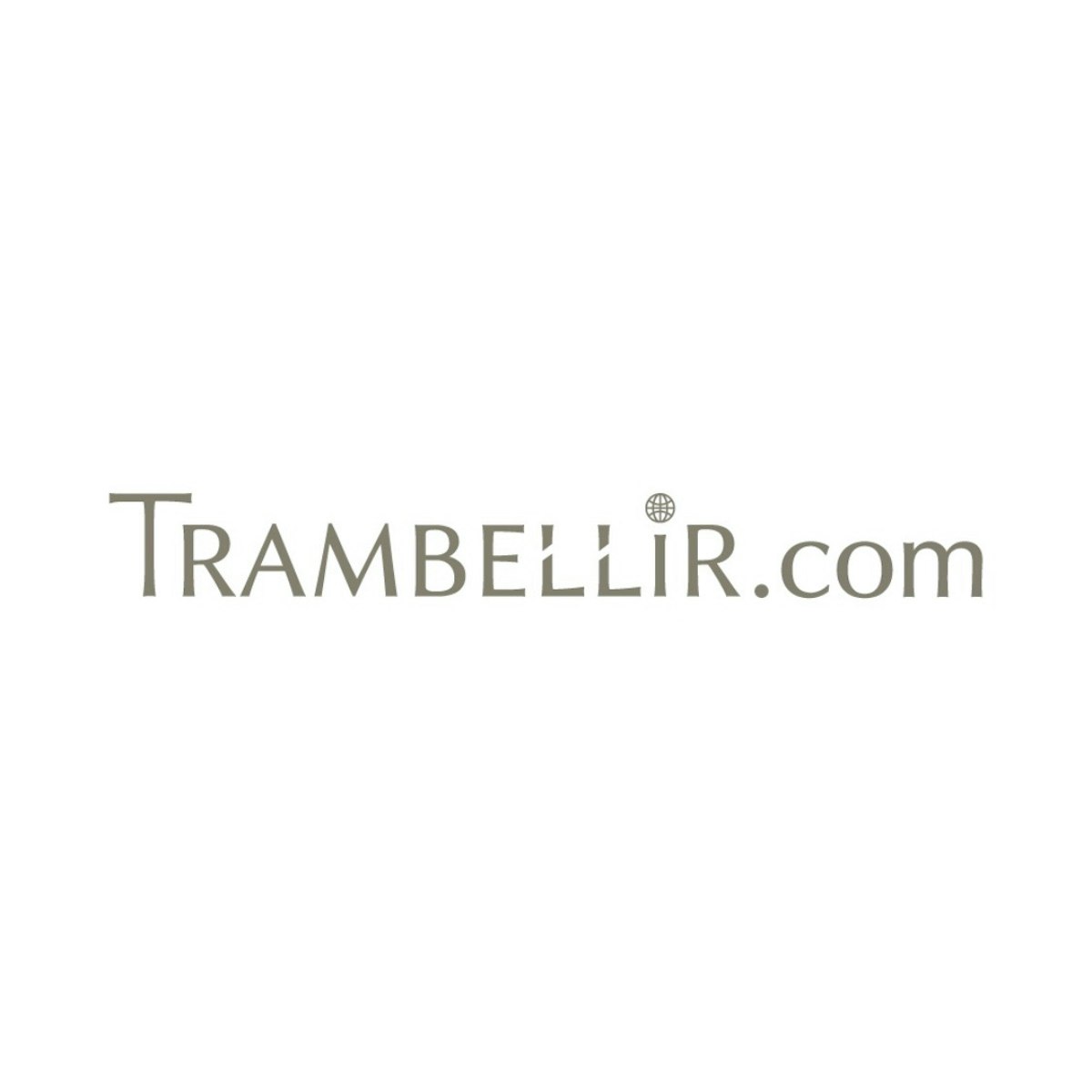 featured image - Startup Interview with So Iizuka, Trambellir's Co-Founder and CEO
