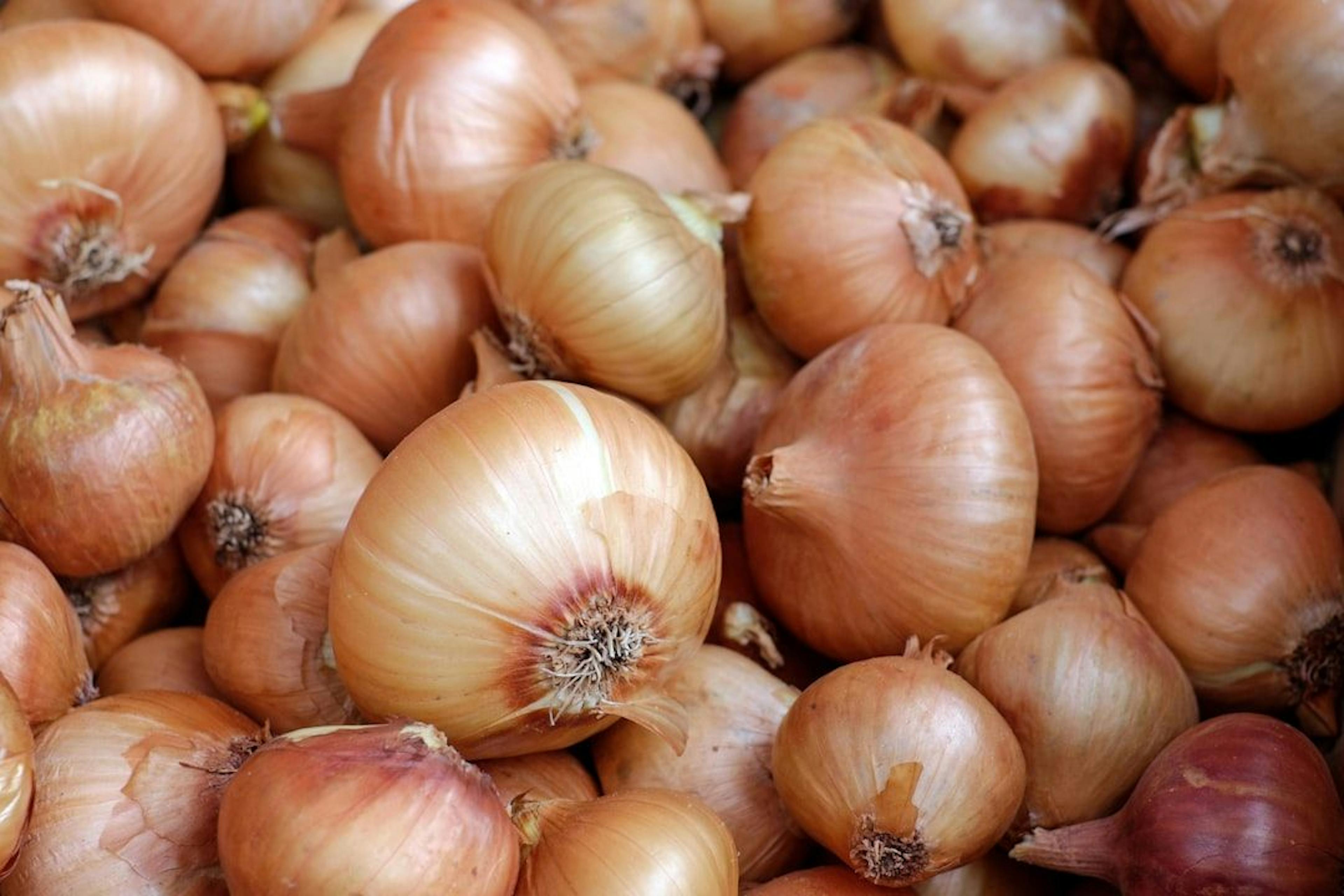 /how-i-spinned-up-an-onion-mirror-its-stupidly-easy feature image