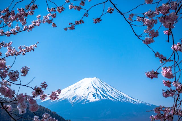 /hacker-noon-haiku feature image