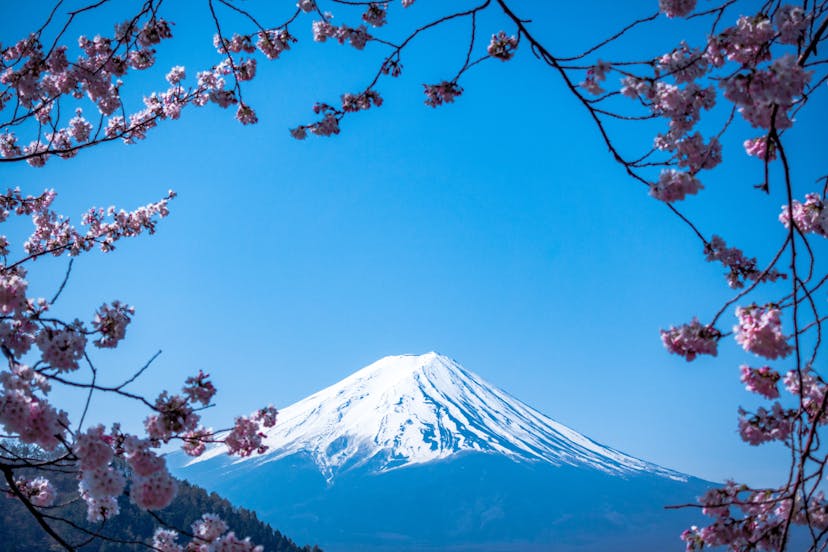 /hacker-noon-haiku feature image