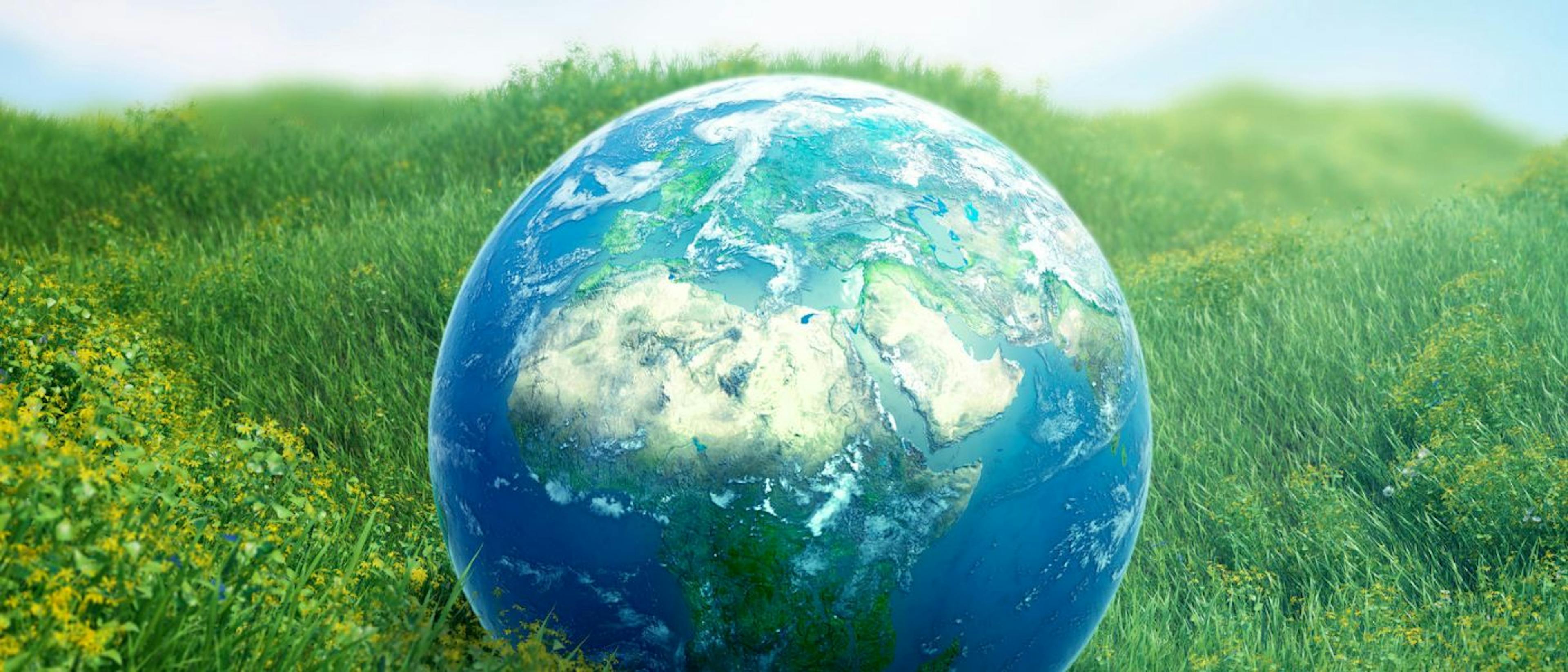 /towards-a-greener-world-discussing-sustainable-investments-with-stan-bharti feature image