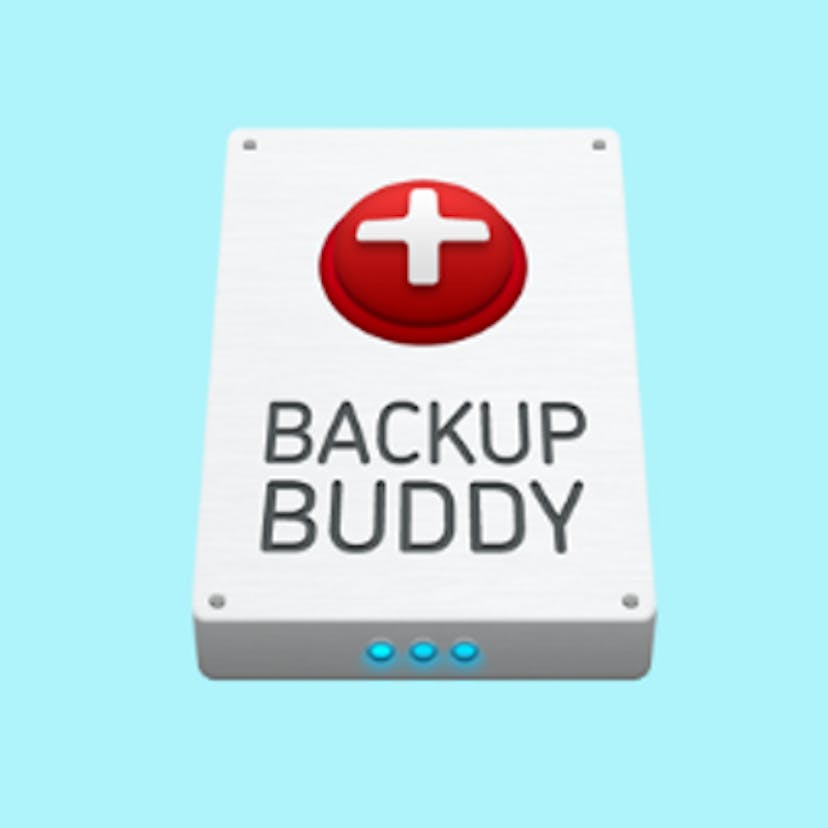 Transfer Your Website to a New Host - Backup Buddy logo