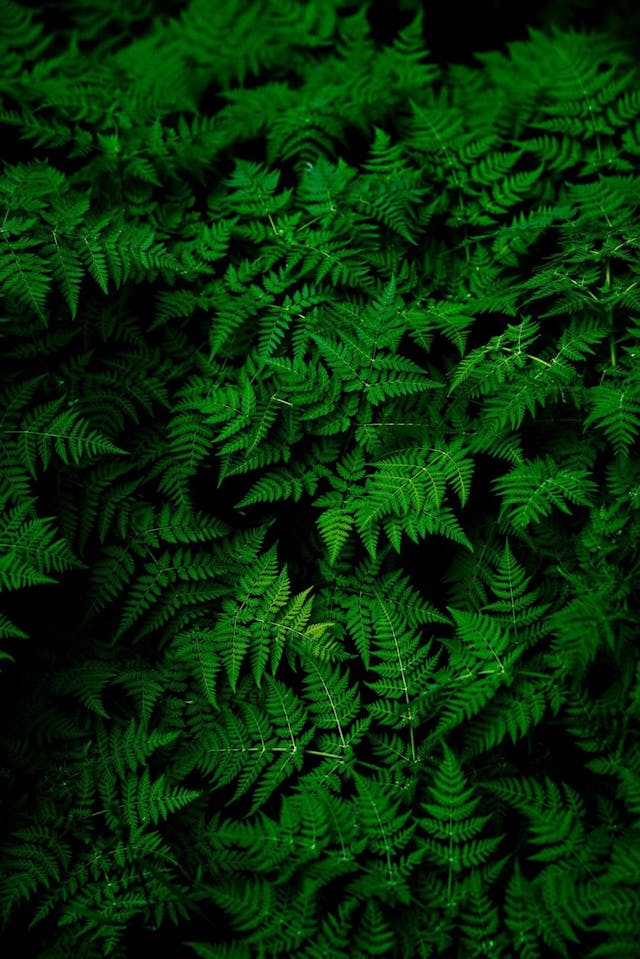 /can-remote-work-lead-to-a-greener-environment feature image