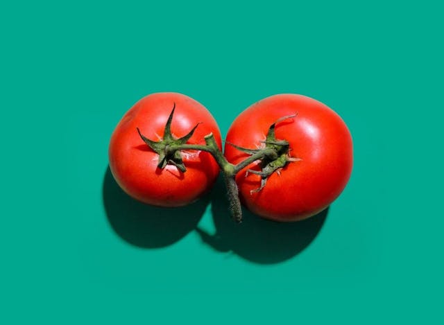 /build-an-online-grocery-marketplace-cedcommerce-alternatives-yummy feature image