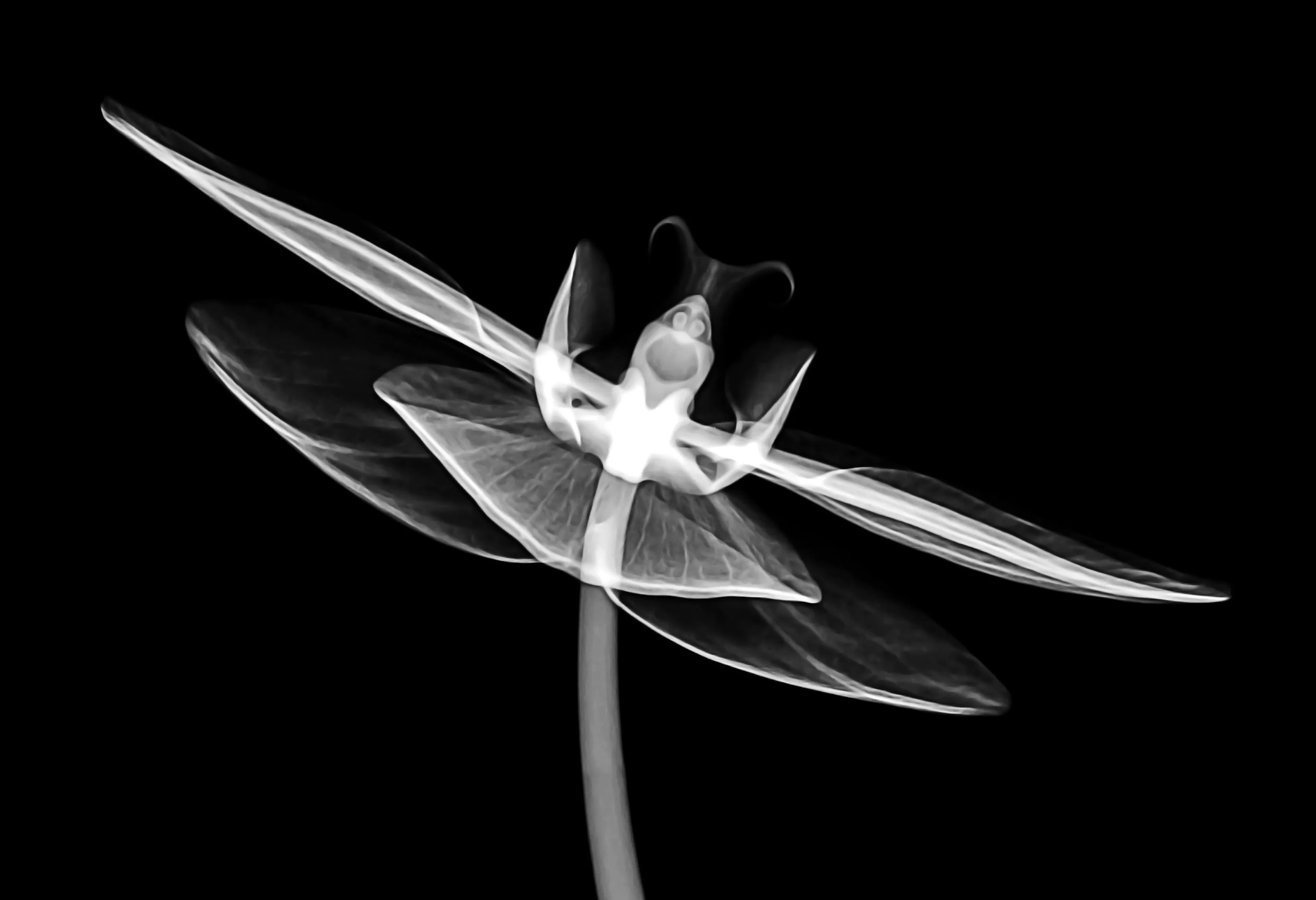 Learn Repo's image-05b5f