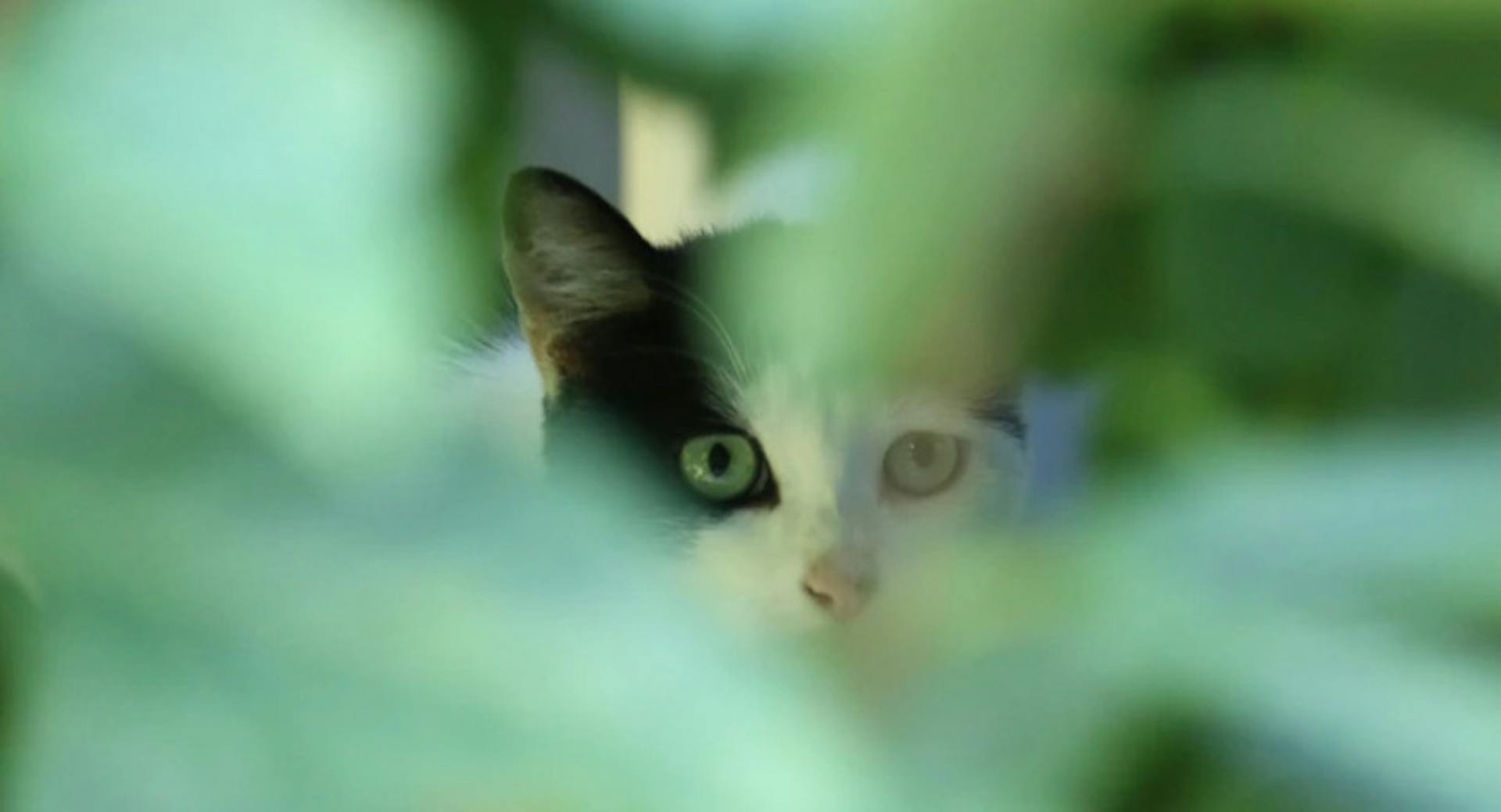 featured image - Who (or What) is Driving the Monetary Power in the Cryptoverse?