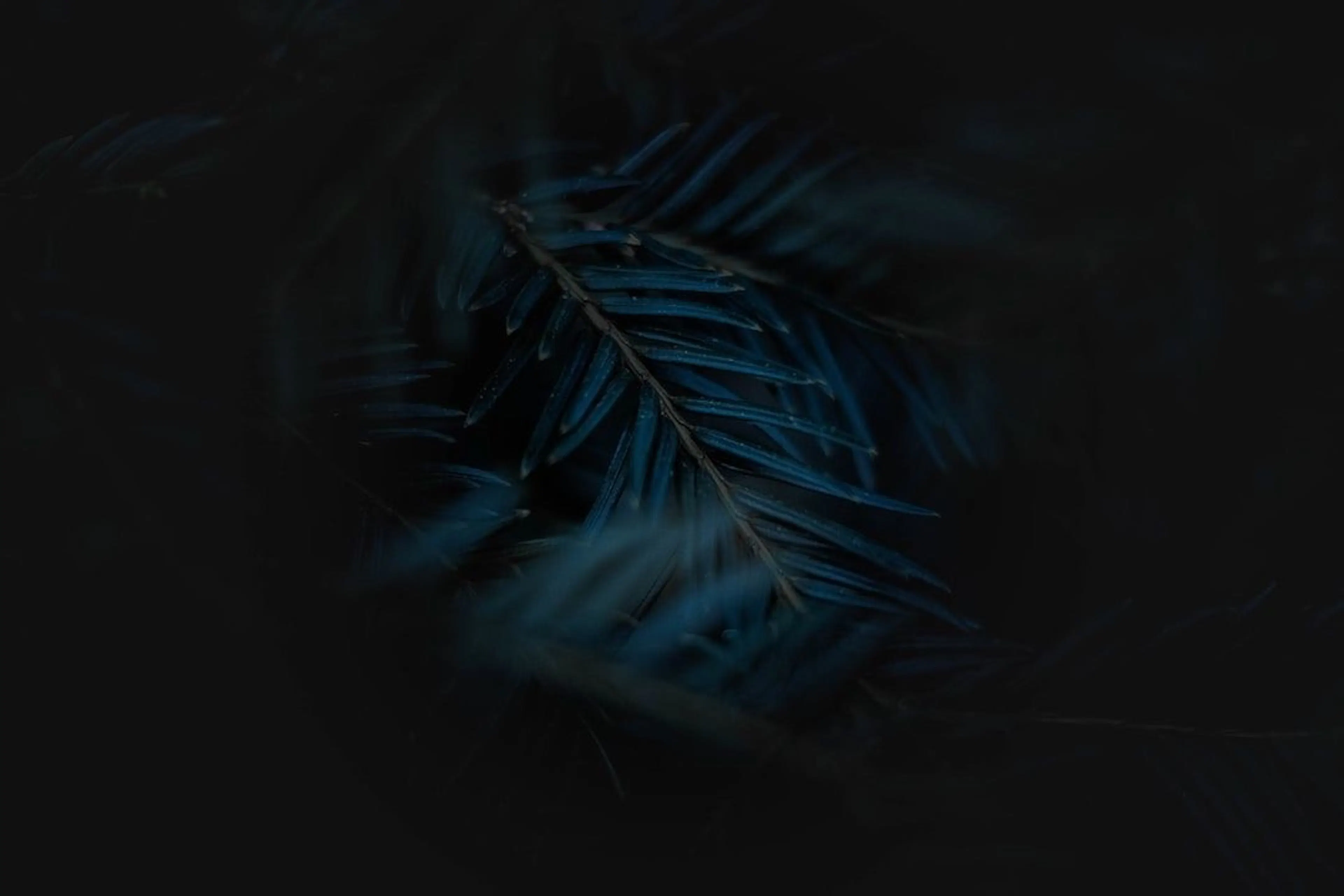 Learn Repo's image-16eff8