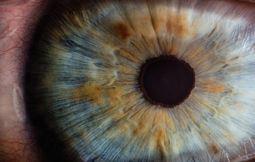 /federal-biometrics-how-does-the-government-use-biometrics-data feature image