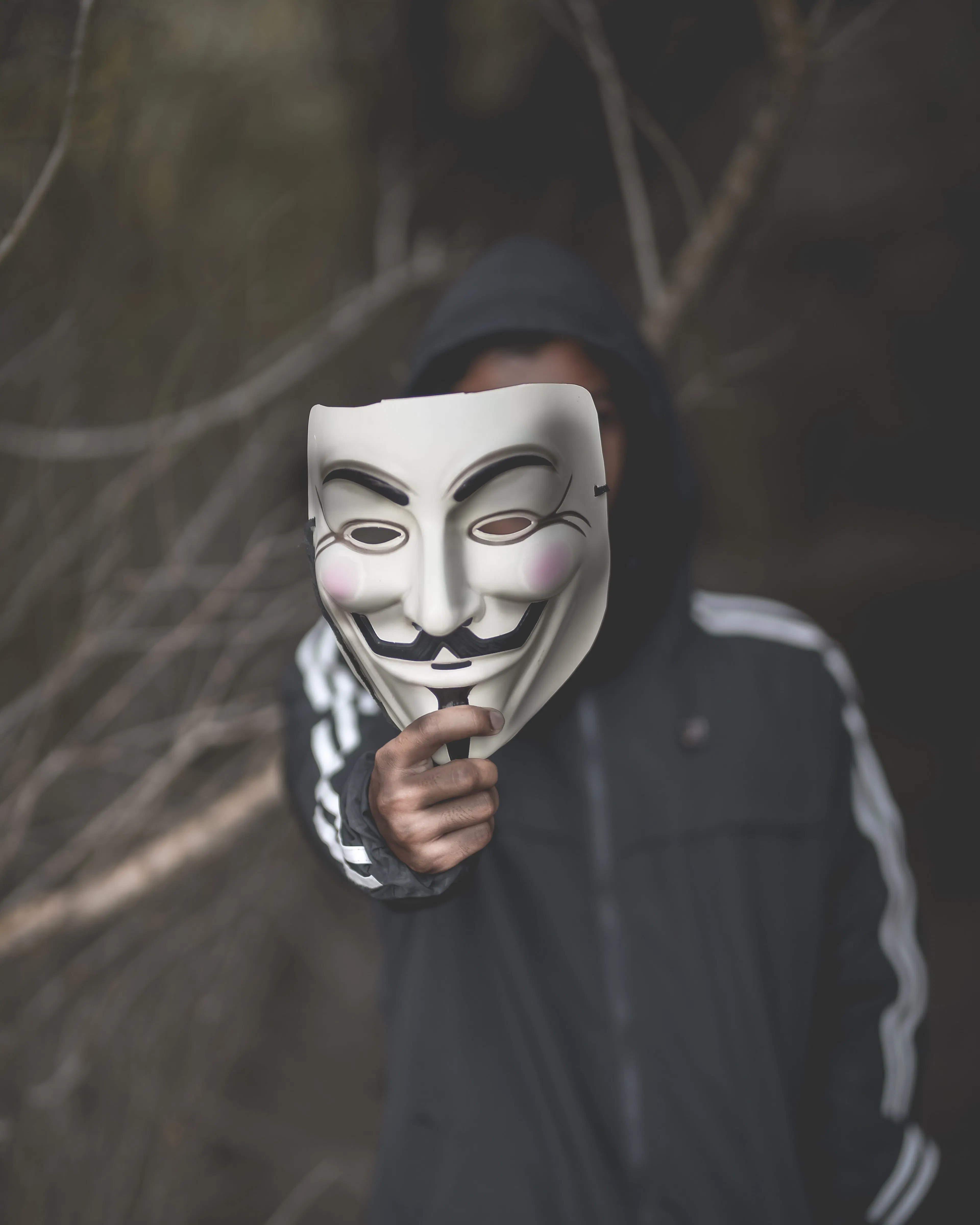 Learn Repo's image-f53228