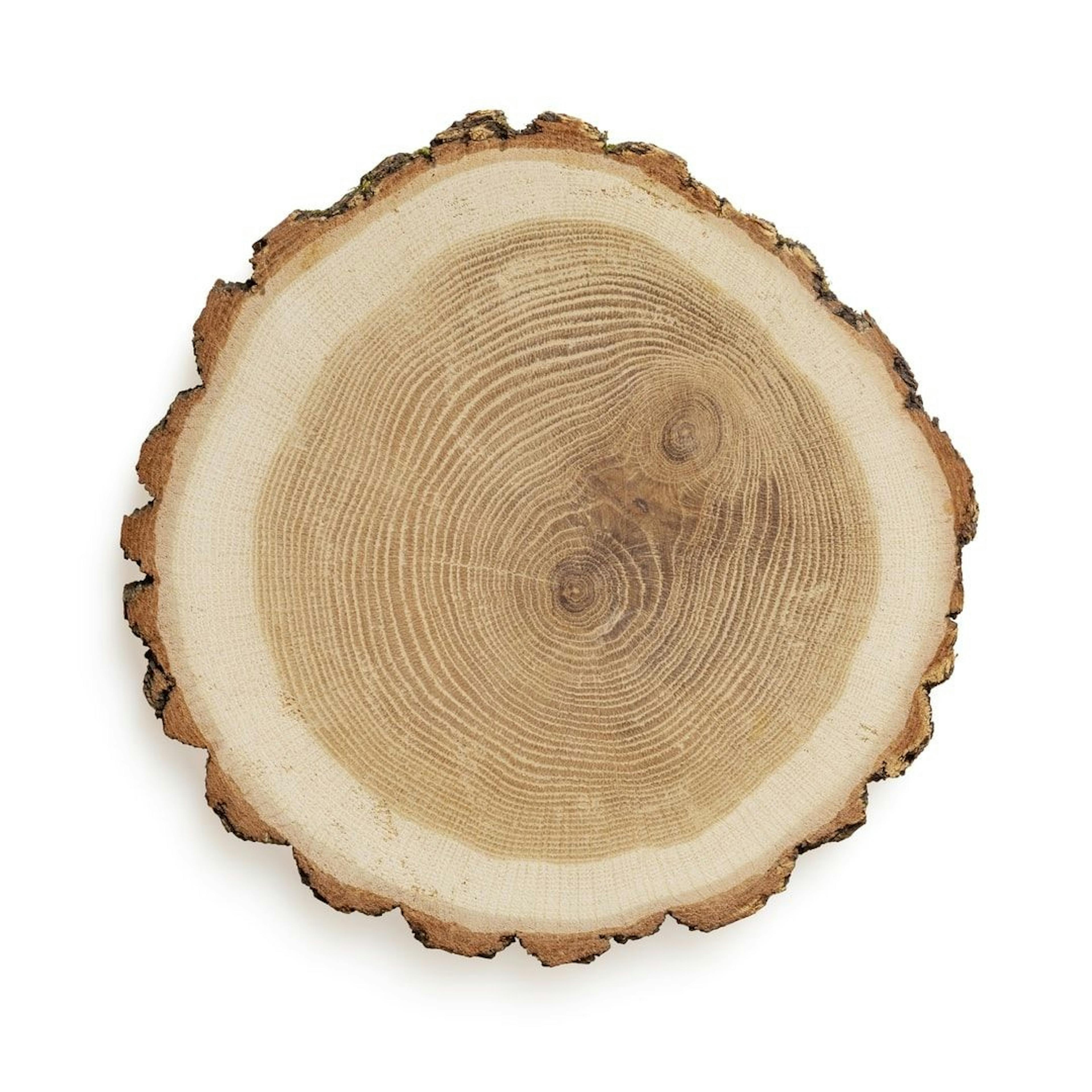 featured image - What is a Data Reliability Engineer?