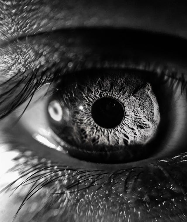 /how-to-create-a-human-in-a-lab feature image