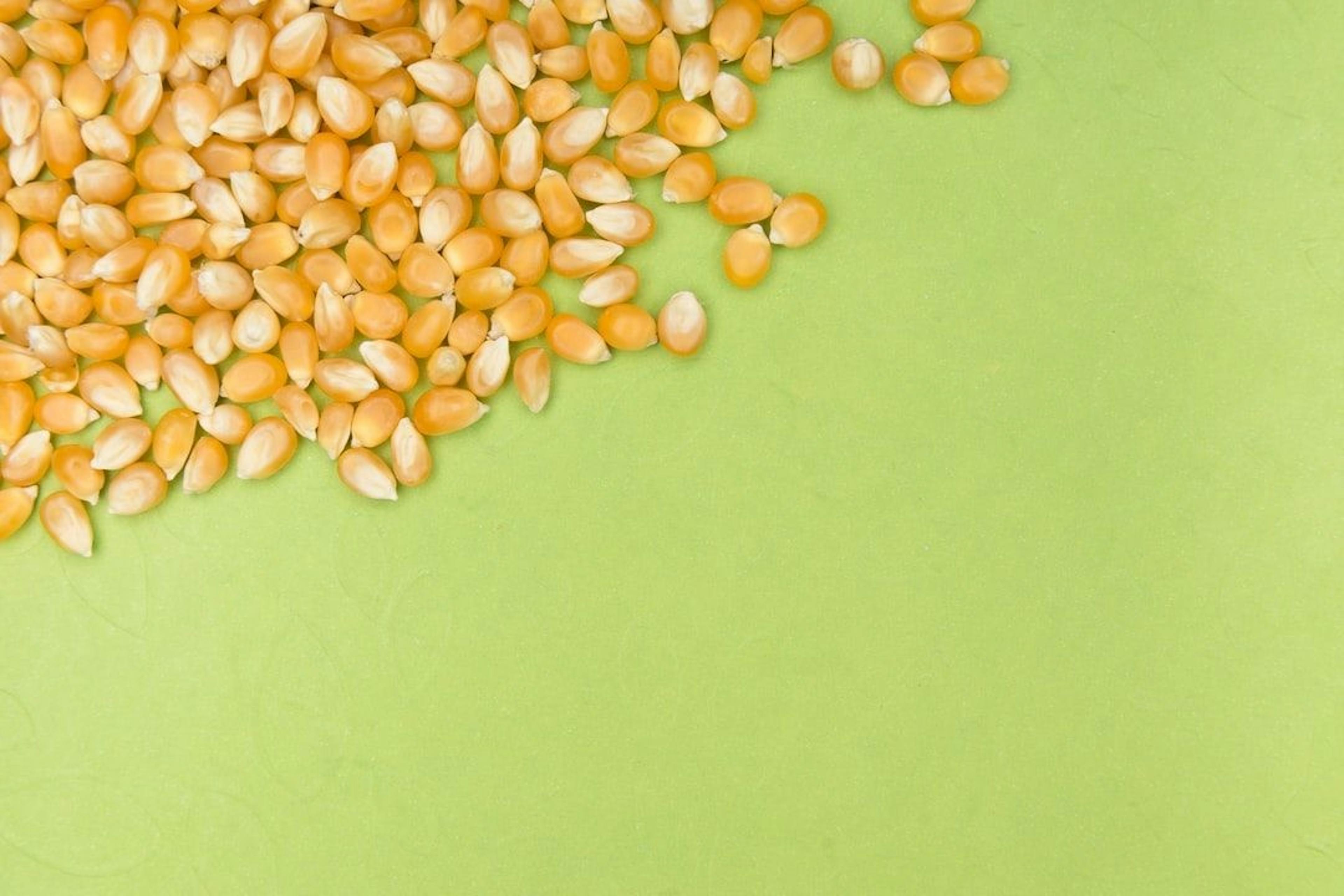 featured image - Mixing Popcorn and Piracy Can Be Very Expensive