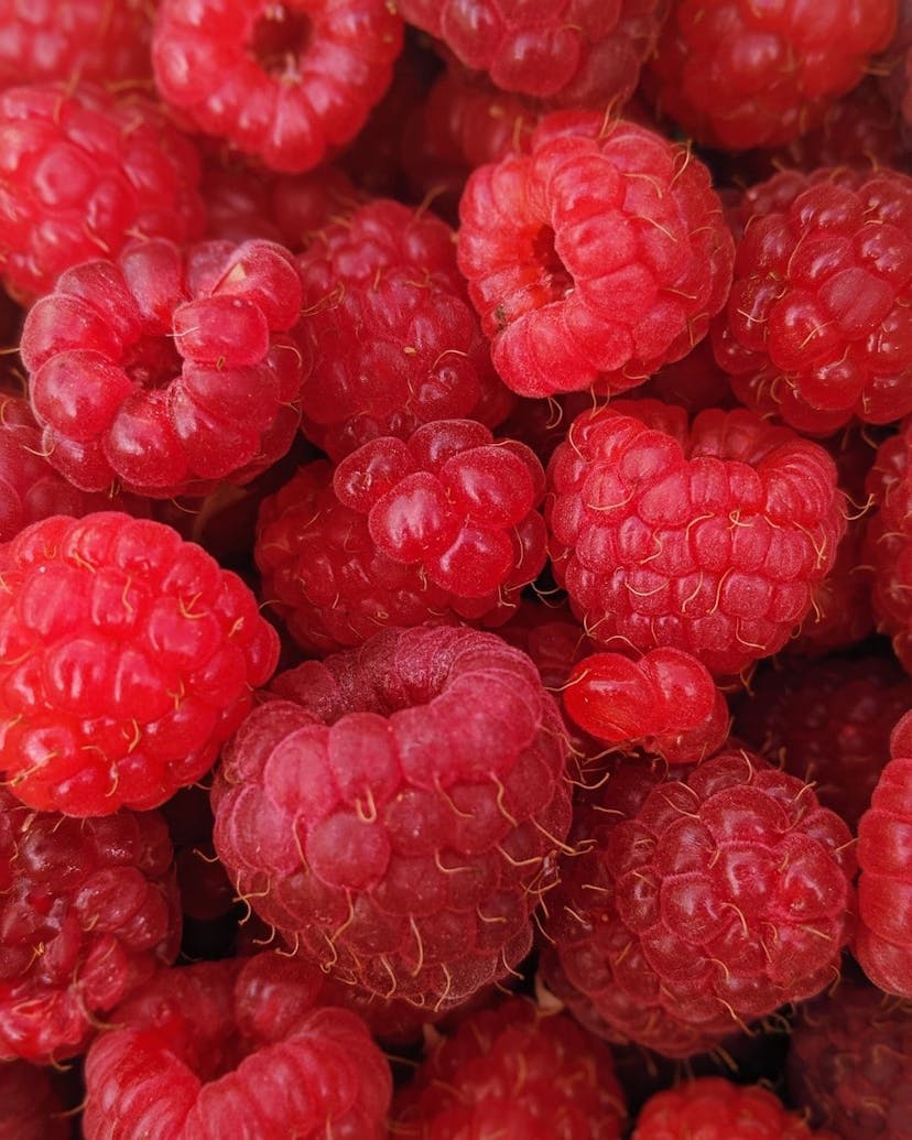 /a-guide-on-how-to-host-your-own-git-server-with-raspberry-pi feature image