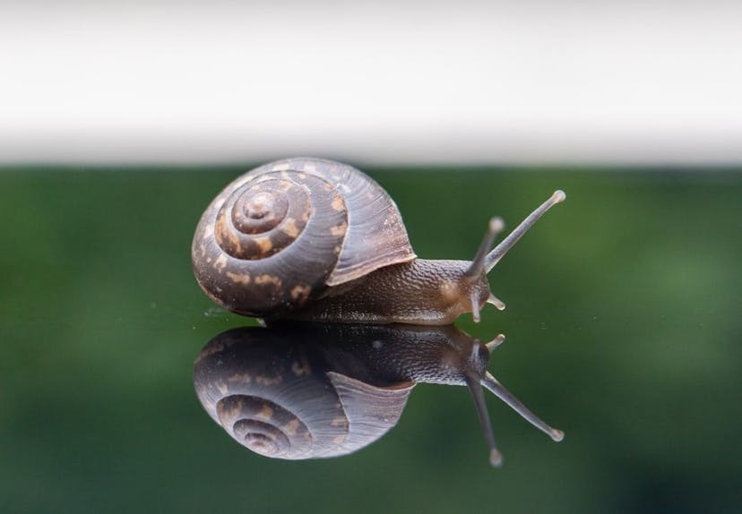 /vpns-do-not-slow-you-down-they-make-you-better feature image