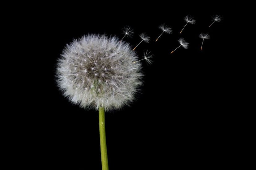 /alternative-pricing-letting-go-of-bad-fit-customers-is-for-the-best feature image