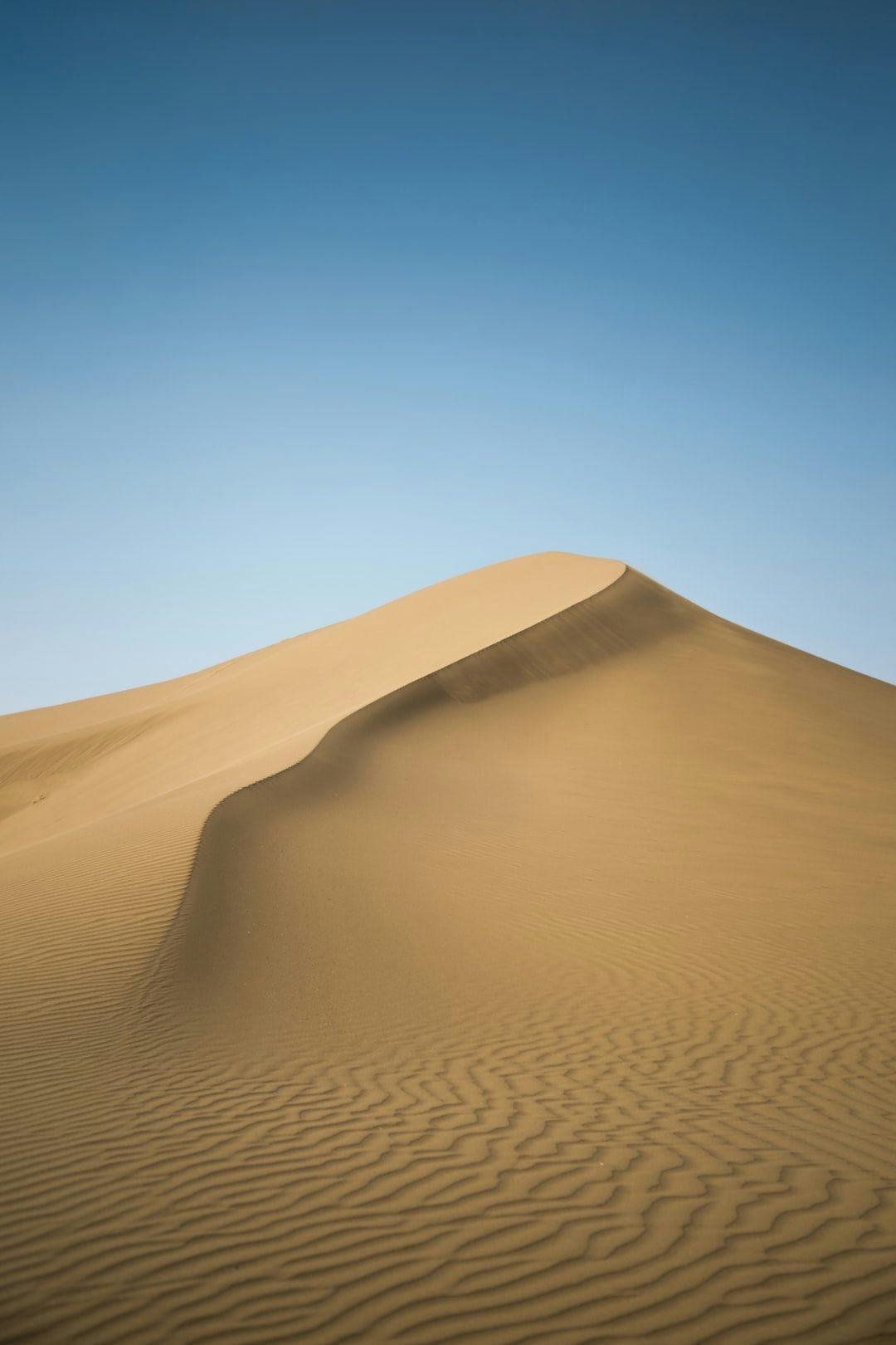 featured image - Becoming a Remote Developer Has Brought Greater Joy to My Life