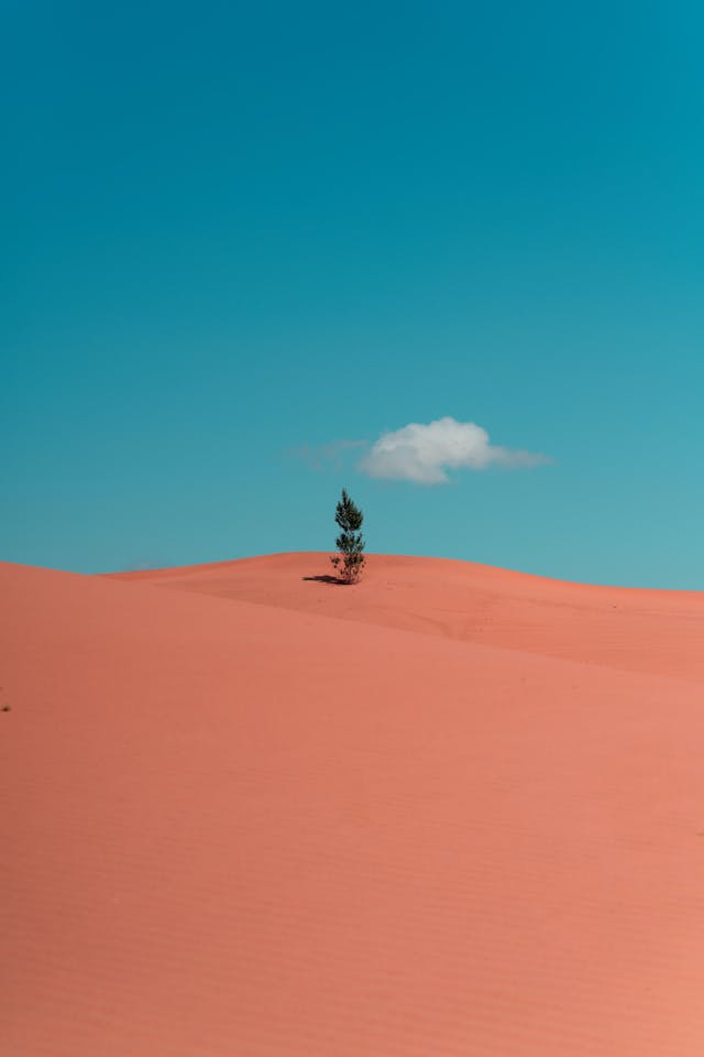 /cardano-vs-ethereum-may-the-best-blockchain-win feature image