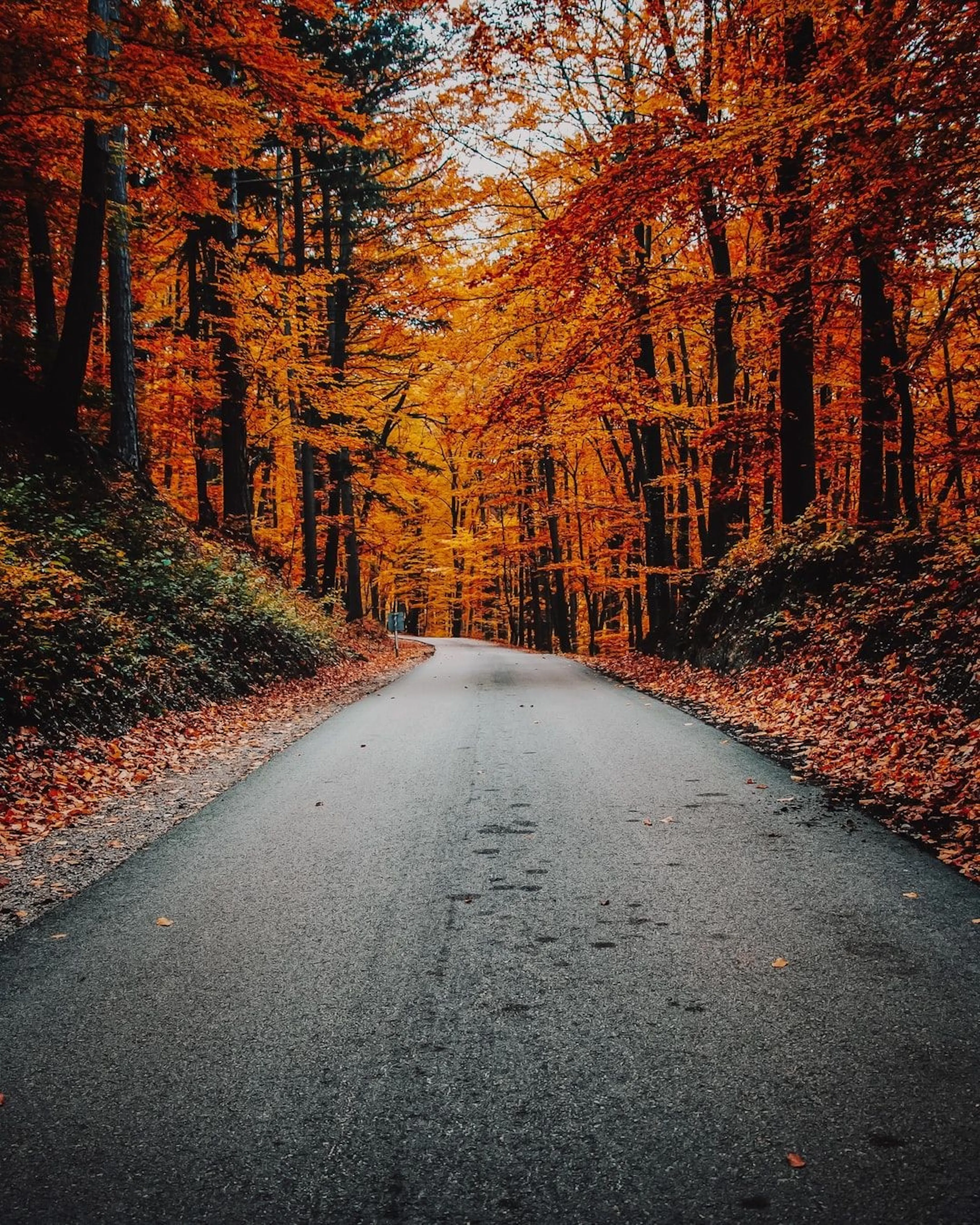 Learn Repo's image-170a98