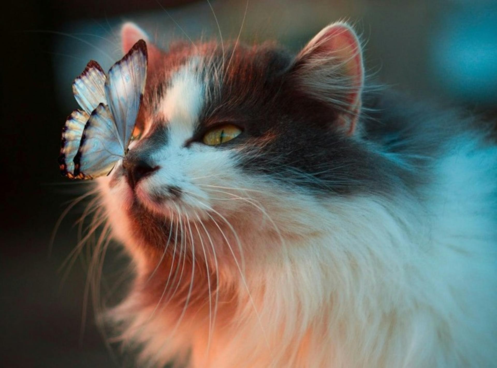 featured image - What is 'Dwell Time' and Why Does it Matter for an SEO Strategy?