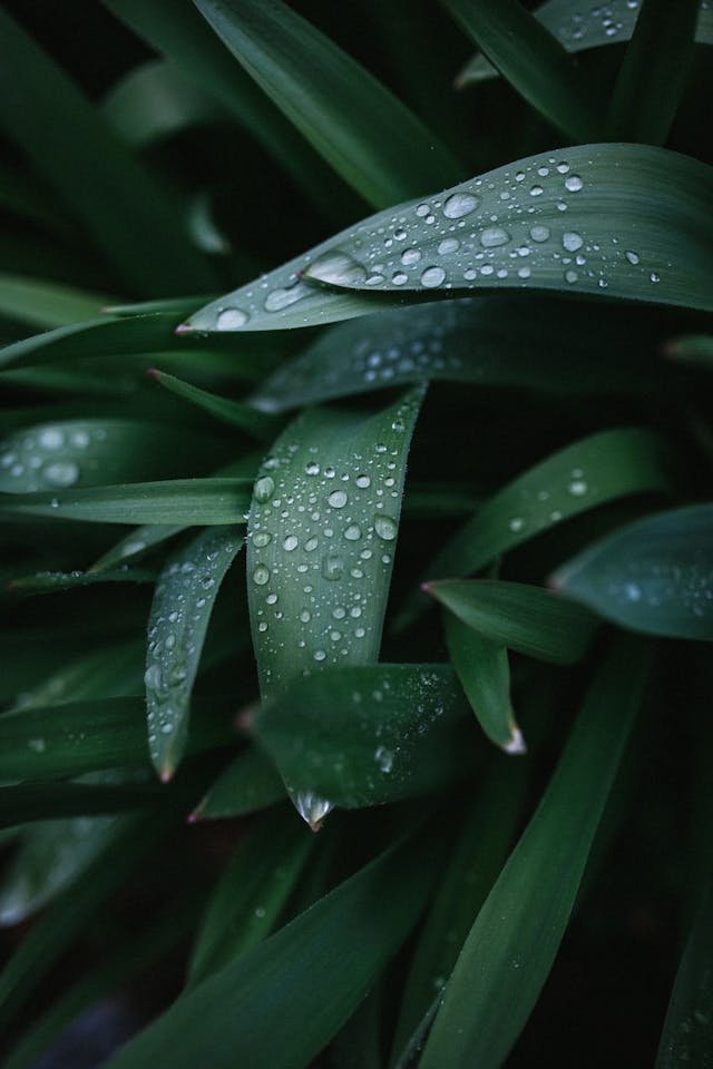 /4-tricks-to-increase-email-conversions-and-make-it-rain-baby feature image