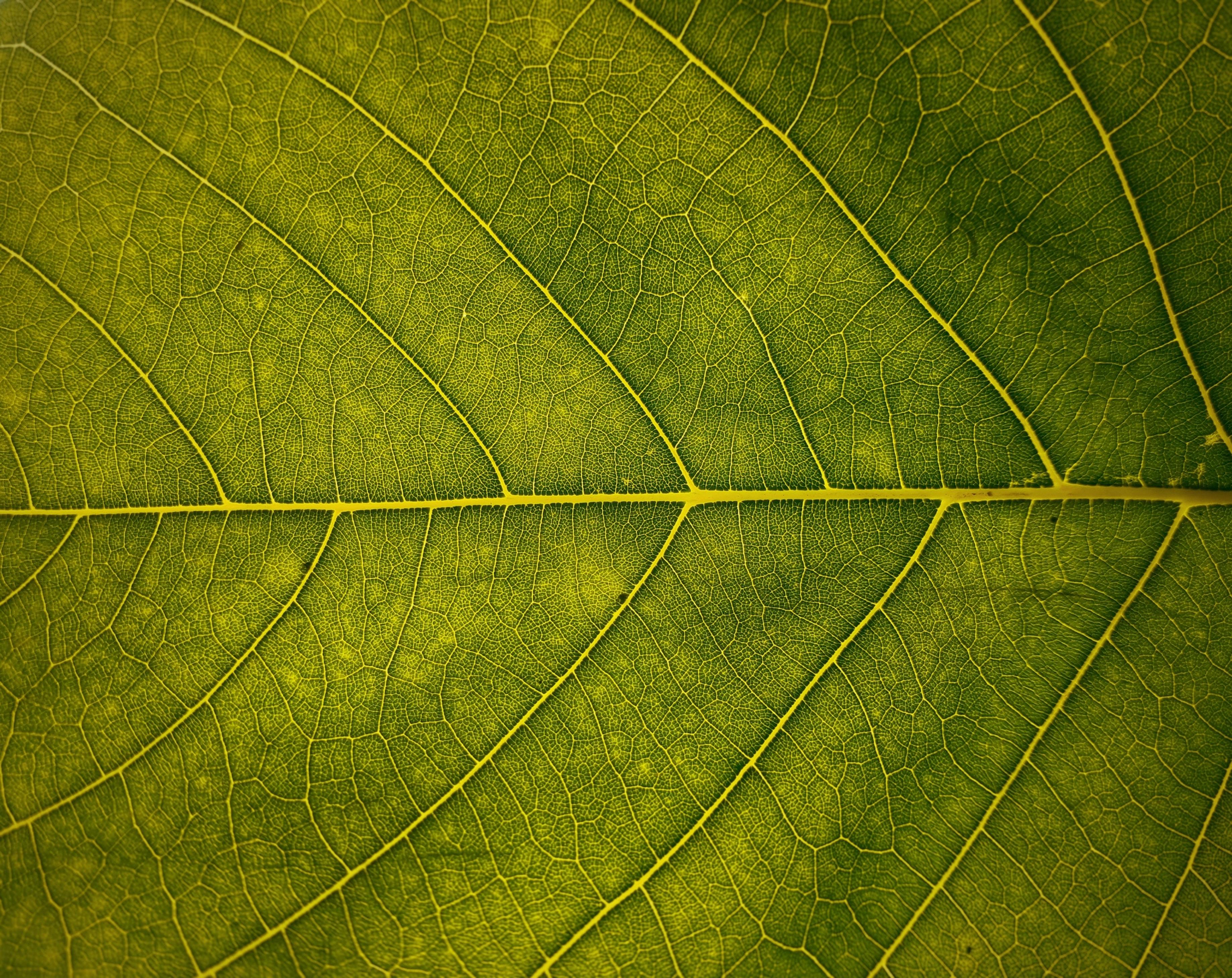 featured image - What is API Observability?