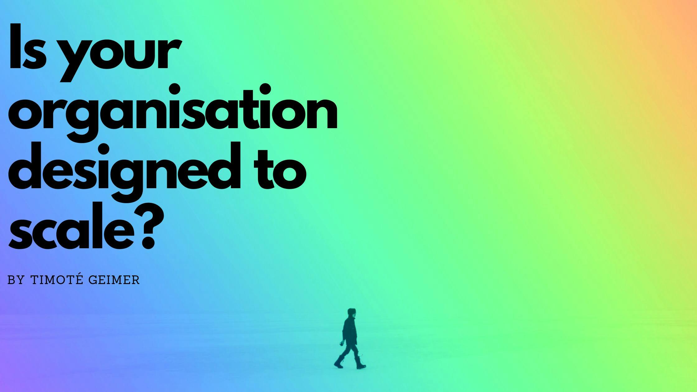 /what-to-focus-on-to-design-and-build-your-organisation-with-the-ability-to-scale-rw2r319x feature image