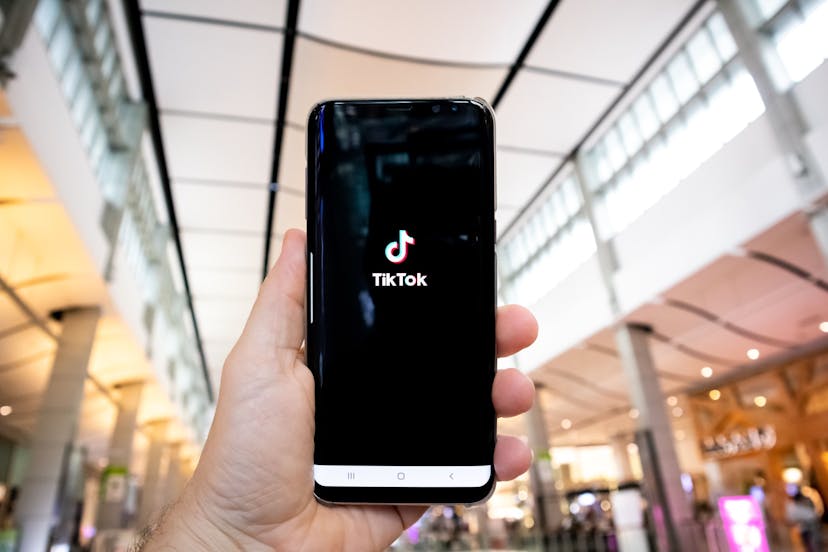 /tiktok-vs-instagram-reels-which-is-best-for-business-marketing-172335tq feature image