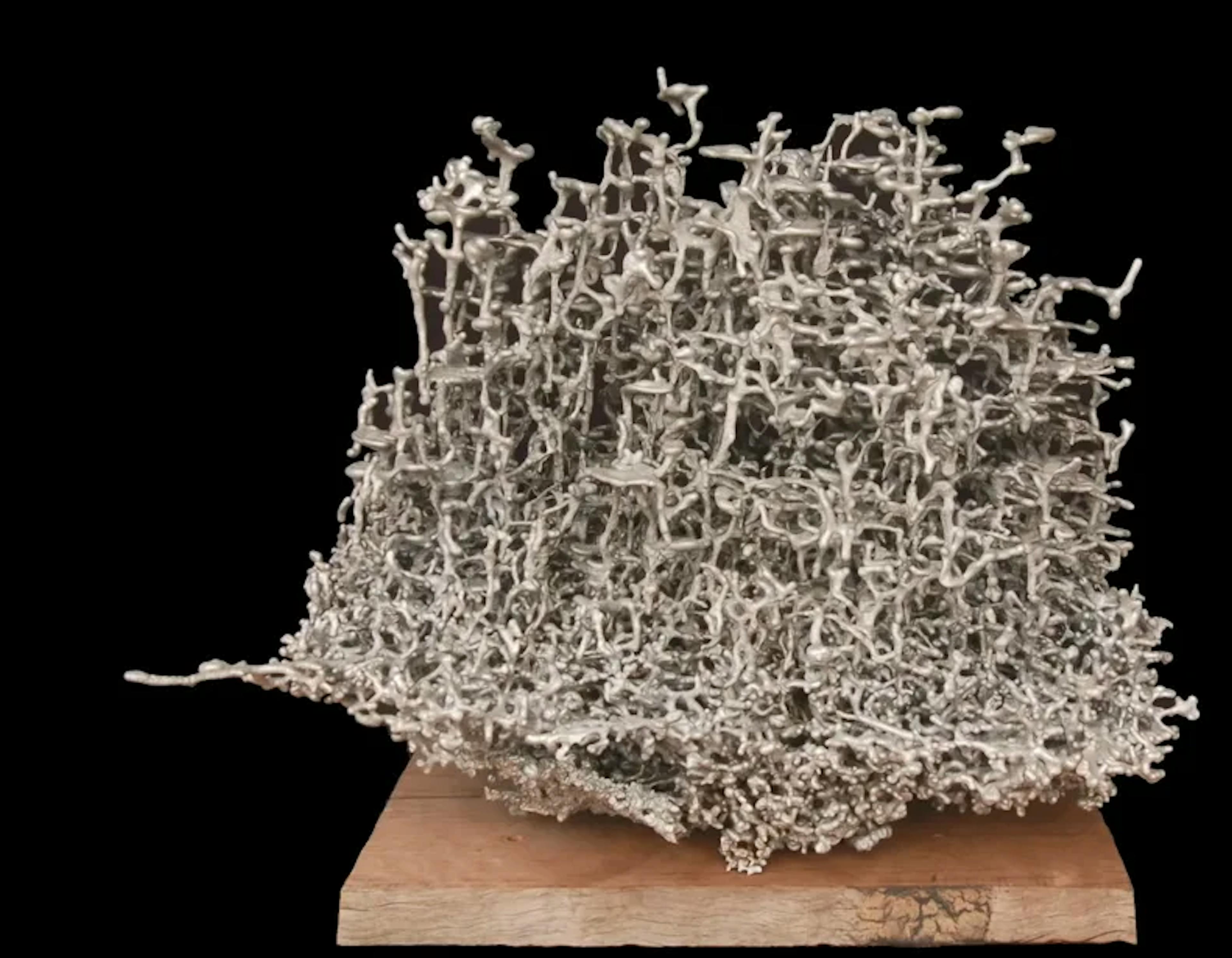 Foundation Models Could Free Us from Language Limits