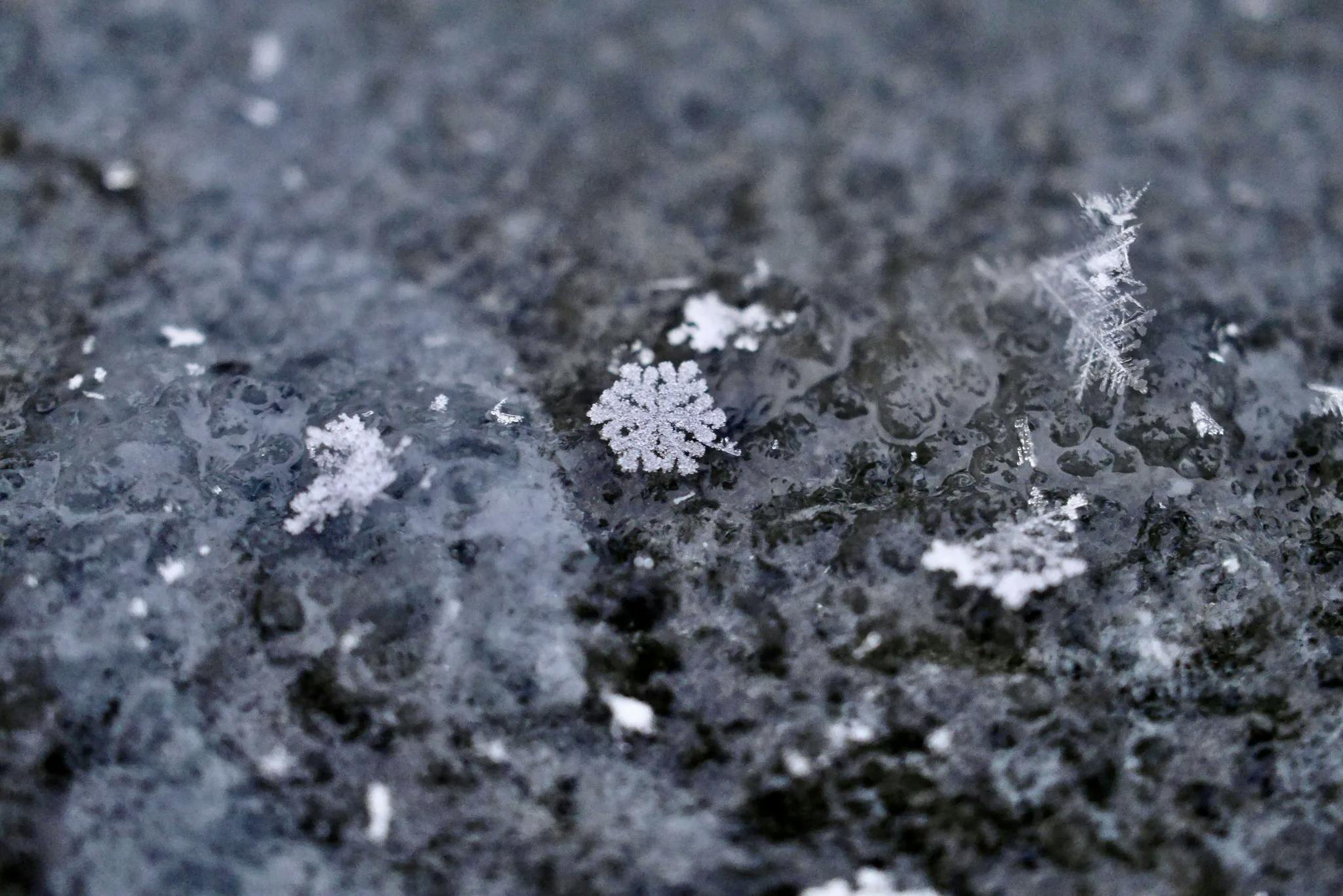 featured image - From the Big Bang to Superintelligence: A Story of Inevitability