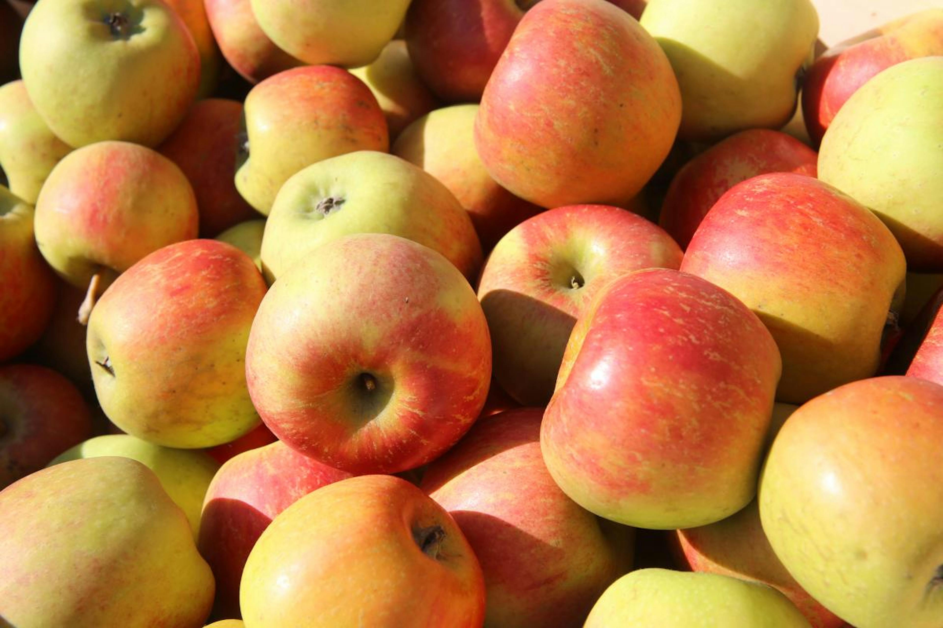 manzanas