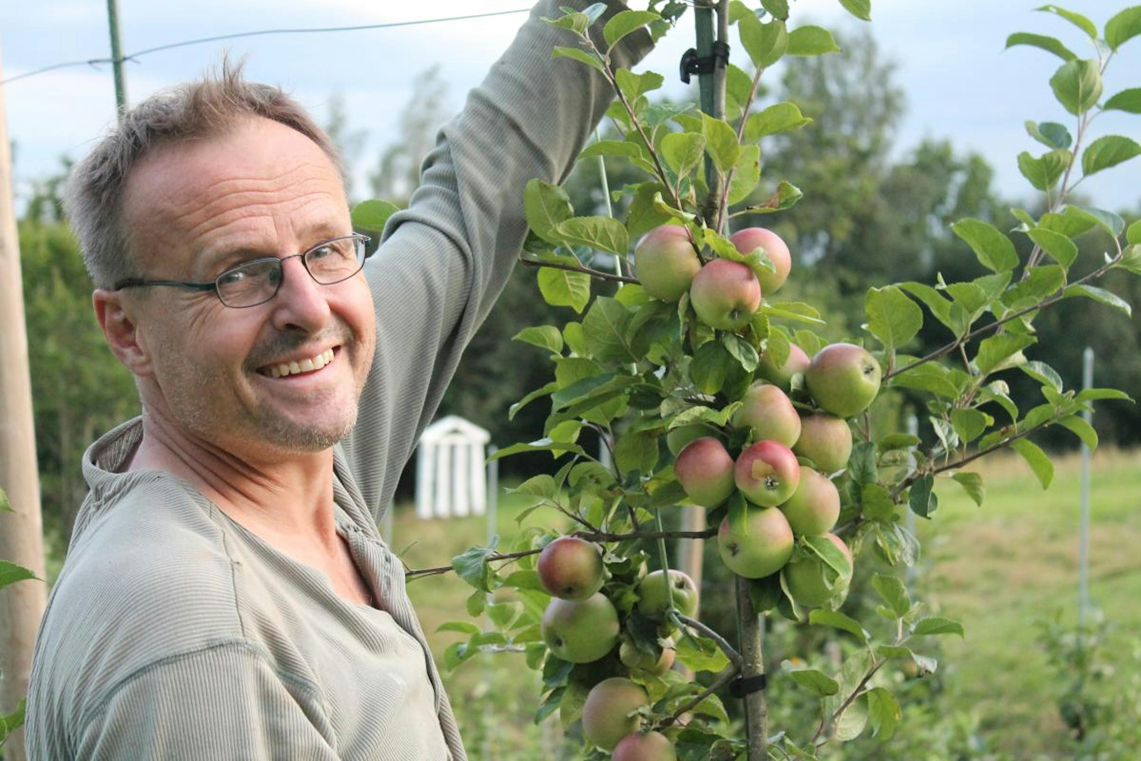 hakon wium mentira cultivo de manzanas