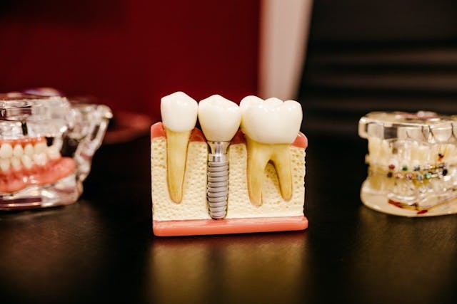 /slogging-24-the-dentist-suicide-rate-myth-and-a-moment-when-google-doesnt-autosuggest-pt6w341a feature image