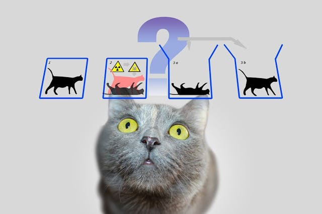 /gaming-network-effects-and-their-paradoxes feature image