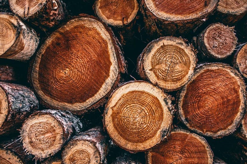 /history-of-the-log-and-the-irony-of-logging-in-2cc53e451e33 feature image