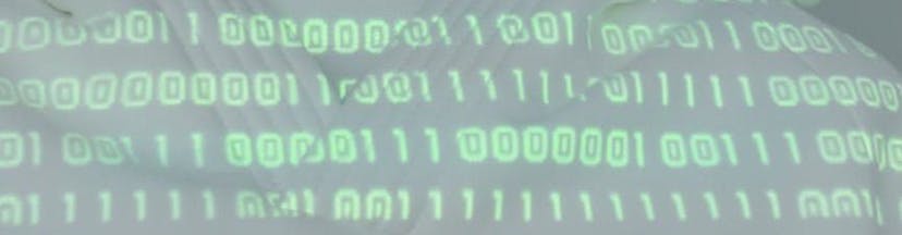 /about-the-meteoric-rise-of-the-low-code-data-scientist feature image