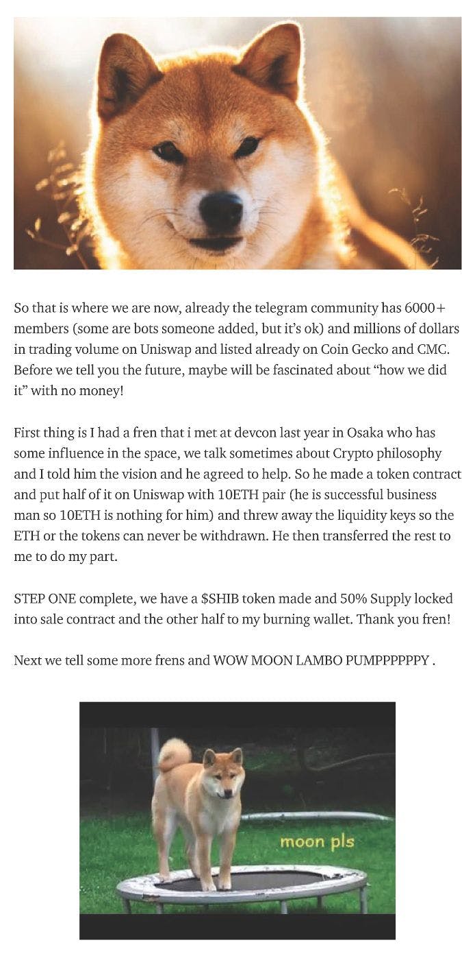 SHIB: My Journey Through the Deepest Recesses & High Command of a $10  Billion Decentralized Army | HackerNoon