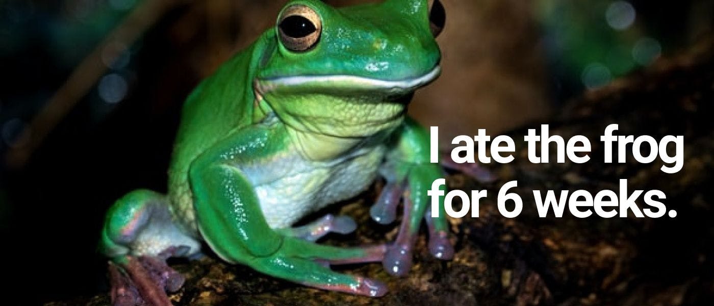 featured image - What I Learned Doing the "Eat the Frog" System for 6 Weeks