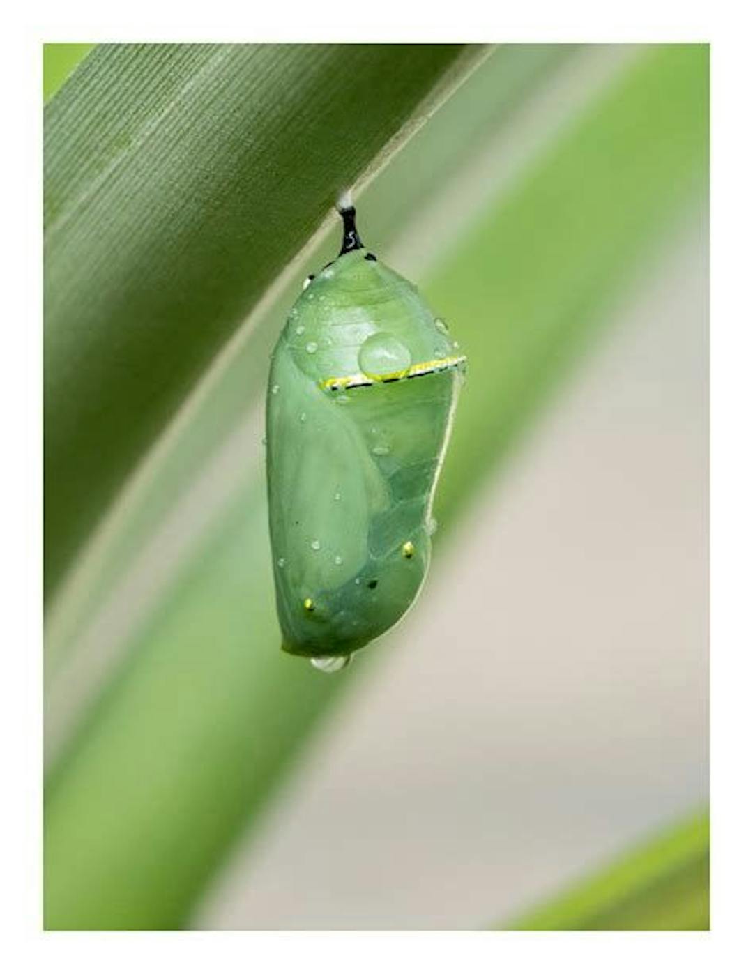 featured image - Two Minutes on Bitcoin — December 5, 2022