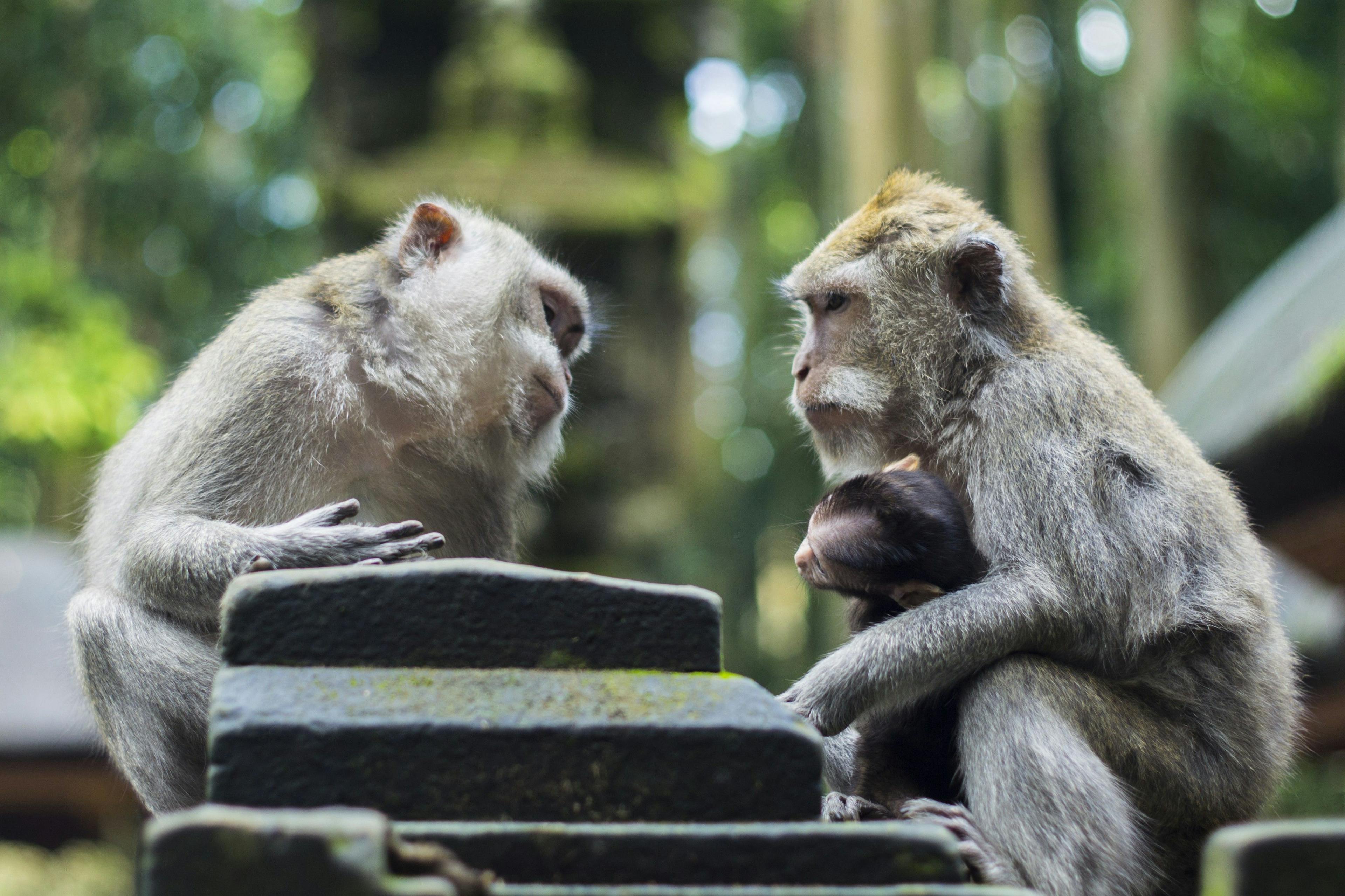 featured image - The Cryptocurrency Questions We Already Need to Be Answering (But Aren’t)