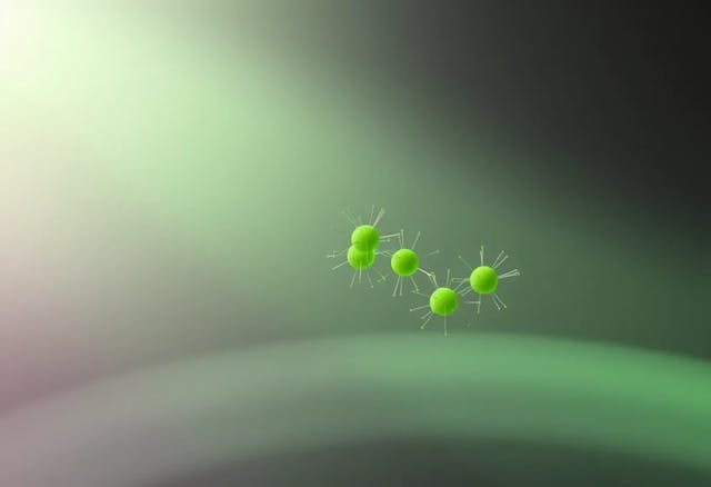 /short-term-memory-effects-in-the-phototactic-behavior-of-microalgae-model feature image