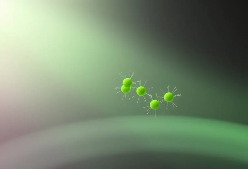 /short-term-memory-effects-in-the-phototactic-behavior-of-microalgae-model feature image
