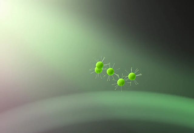 /short-term-memory-effects-in-the-phototactic-behavior-of-microalgae-abstract-and-introduction feature image