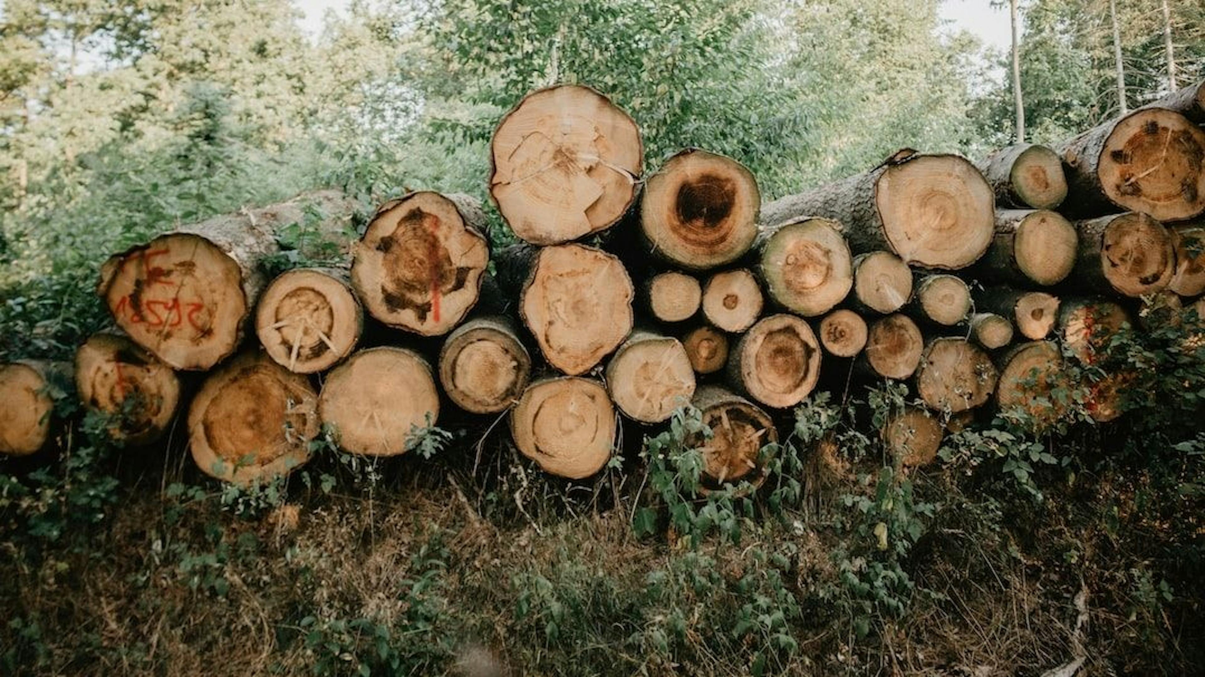 featured image - Nắm vững nhật ký thích hợp để DevOps xuất sắc